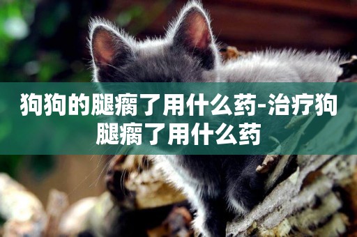 狗狗的腿瘸了用什么藥-治療狗腿瘸了用什么藥