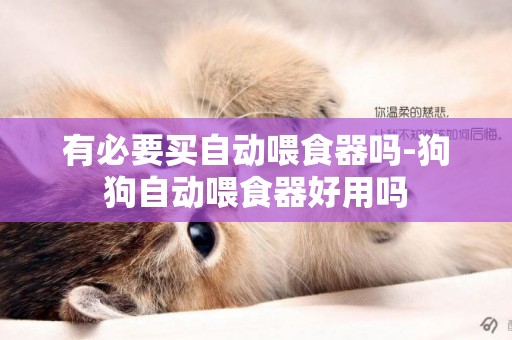 有必要買自動喂食器嗎-狗狗自動喂食器好用嗎