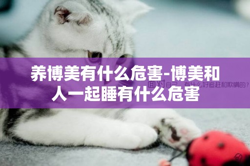 養博美有什么危害-博美和人一起睡有什么危害