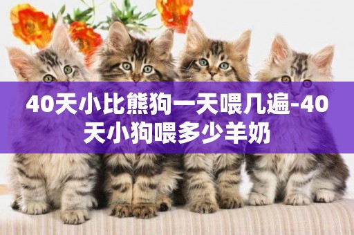 40天小比熊狗一天喂幾遍-40天小狗喂多少羊奶
