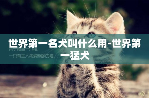 世界第一名犬叫什么用-世界第一猛犬