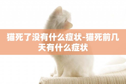 貓死了沒有什么癥狀-貓死前幾天有什么癥狀