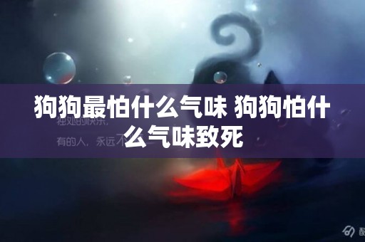 狗狗最怕什么氣味 狗狗怕什么氣味致死