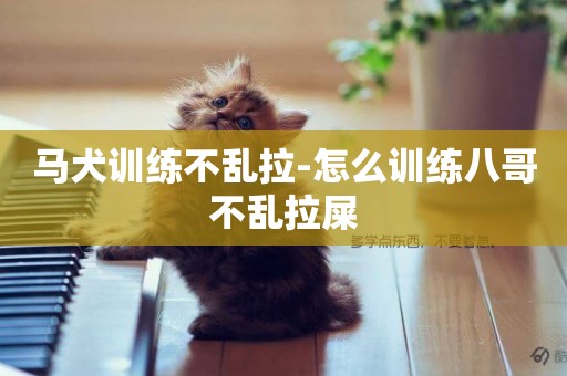 馬犬訓練不亂拉-怎么訓練八哥不亂拉屎