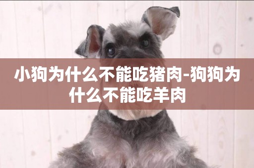 小狗為什么不能吃豬肉-狗狗為什么不能吃羊肉