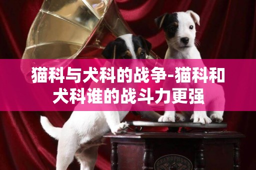 貓科與犬科的戰爭-貓科和犬科誰的戰斗力更強