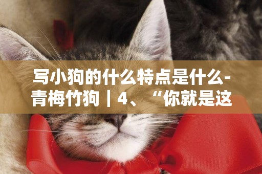 寫小狗的什么特點是什么-青梅竹狗｜4、“你就是這么想哥哥的