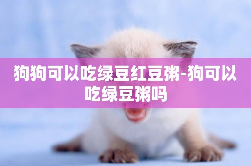狗狗可以吃綠豆紅豆粥-狗可以吃綠豆粥嗎