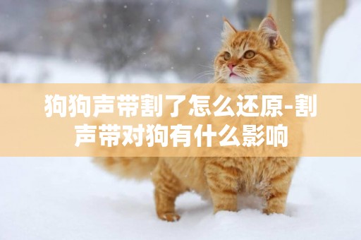狗狗聲帶割了怎么還原-割聲帶對狗有什么影響