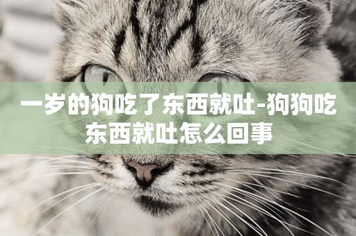 一歲的狗吃了東西就吐-狗狗吃東西就吐怎么回事