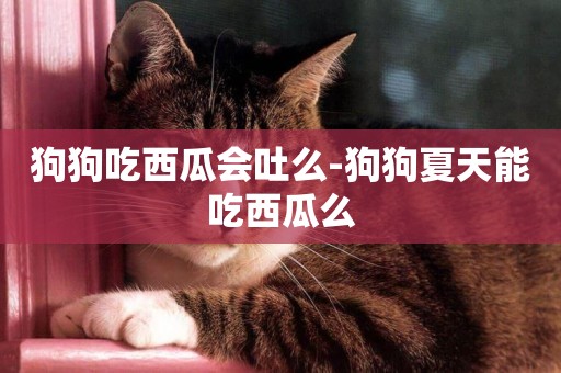 狗狗吃西瓜會吐么-狗狗夏天能吃西瓜么