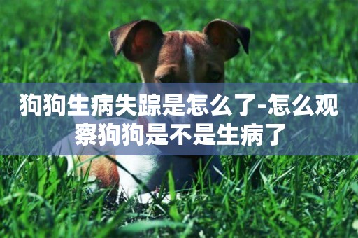 狗狗生病失蹤是怎么了-怎么觀察狗狗是不是生病了