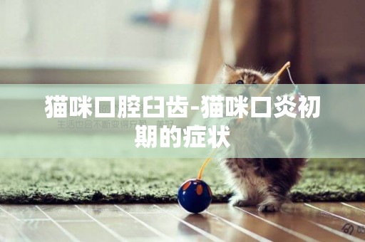 貓咪口腔臼齒-貓咪口炎初期的癥狀