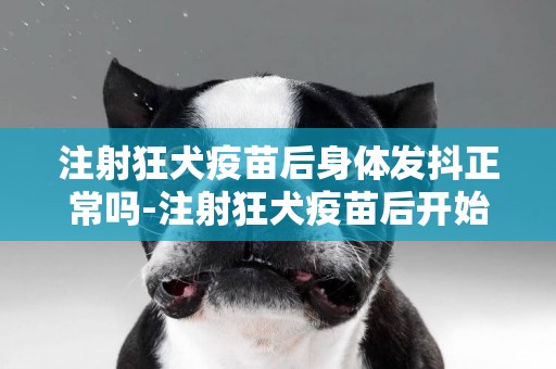 注射狂犬疫苗后身體發抖正常嗎-注射狂犬疫苗后開始發熱