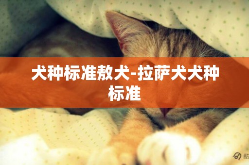 犬種標準敖犬-拉薩犬犬種標準