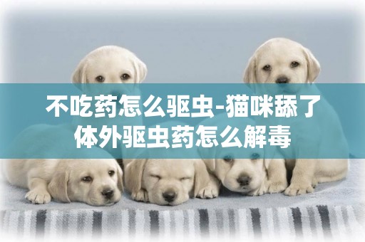 不吃藥怎么驅蟲-貓咪舔了體外驅蟲藥怎么解毒