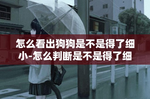 怎么看出狗狗是不是得了細小-怎么判斷是不是得了細小