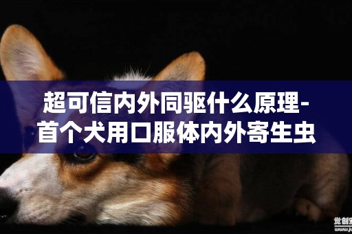超可信內外同驅什么原理-首個犬用口服體內外寄生蟲同驅產品超可信宣布上市