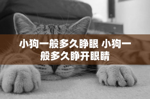 小狗一般多久睜眼 小狗一般多久睜開眼睛