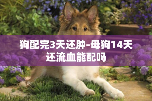 狗配完3天還腫-母狗14天還流血能配嗎