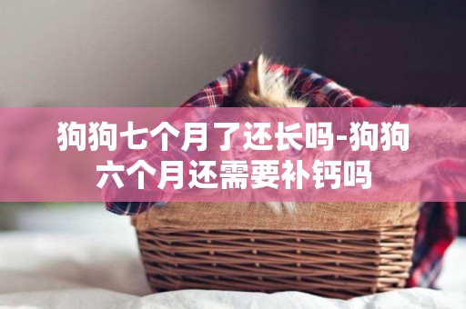 狗狗七個月了還長嗎-狗狗六個月還需要補鈣嗎