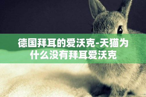 德國拜耳的愛沃克-天貓為什么沒有拜耳愛沃克
