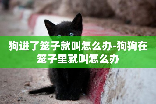 狗進了籠子就叫怎么辦-狗狗在籠子里就叫怎么辦
