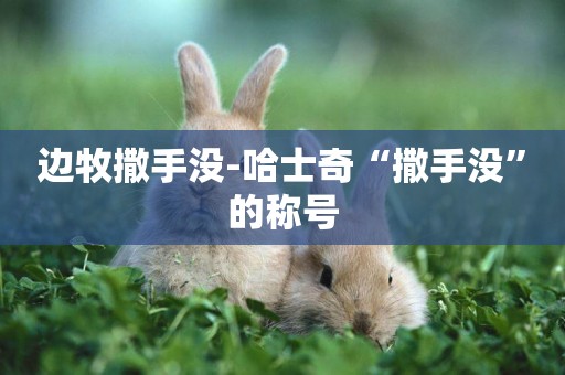 邊牧撒手沒-哈士奇“撒手沒”的稱號