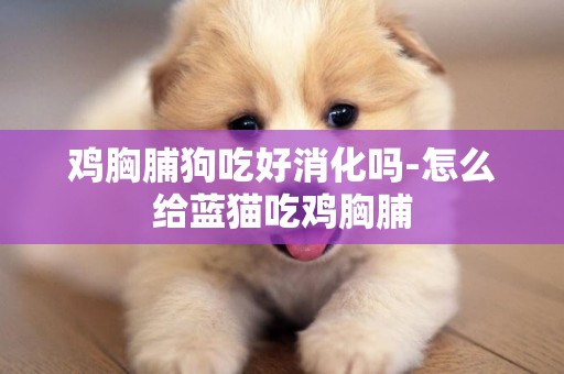 雞胸脯狗吃好消化嗎-怎么給藍貓吃雞胸脯
