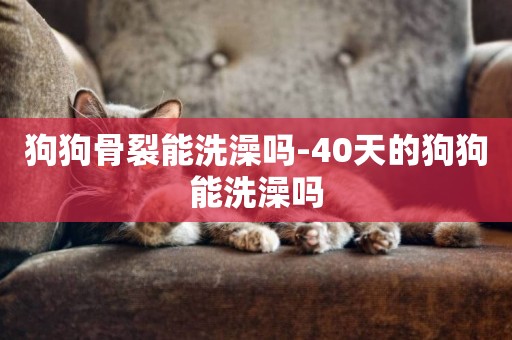 狗狗骨裂能洗澡嗎-40天的狗狗能洗澡嗎