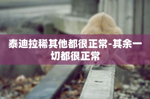 泰迪拉稀其他都很正常-其余一切都很正常