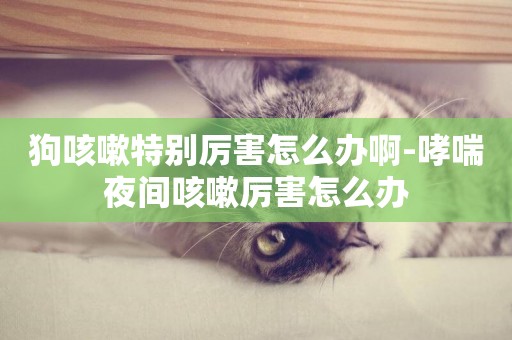 狗咳嗽特別厲害怎么辦啊-哮喘夜間咳嗽厲害怎么辦