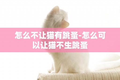 怎么不讓貓有跳蚤-怎么可以讓貓不生跳蚤