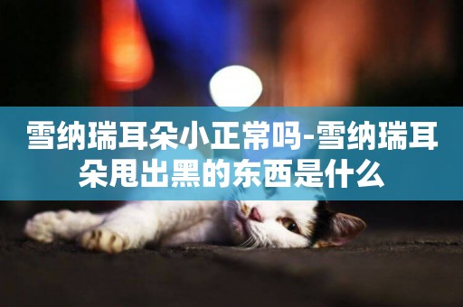 雪納瑞耳朵小正常嗎-雪納瑞耳朵甩出黑的東西是什么