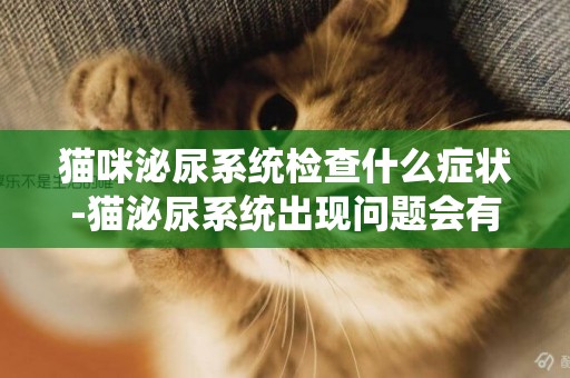 貓咪泌尿系統檢查什么癥狀-貓泌尿系統出現問題會有什么癥狀
