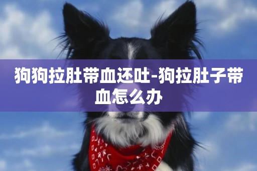 狗狗拉肚帶血還吐-狗拉肚子帶血怎么辦