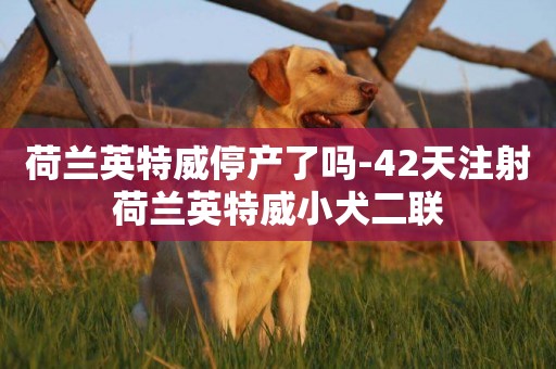 荷蘭英特威停產了嗎-42天注射荷蘭英特威小犬二聯