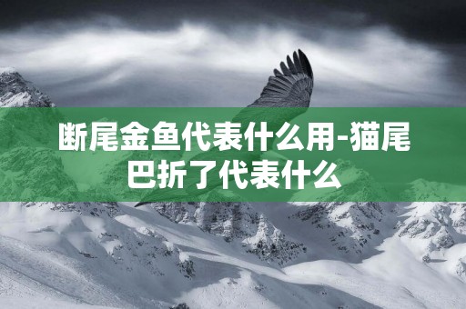 斷尾金魚代表什么用-貓尾巴折了代表什么