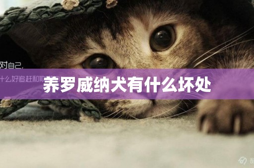 養羅威納犬有什么壞處