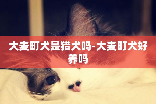 大麥町犬是獵犬嗎-大麥町犬好養嗎