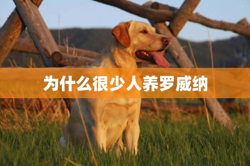 為什么很少人養羅威納