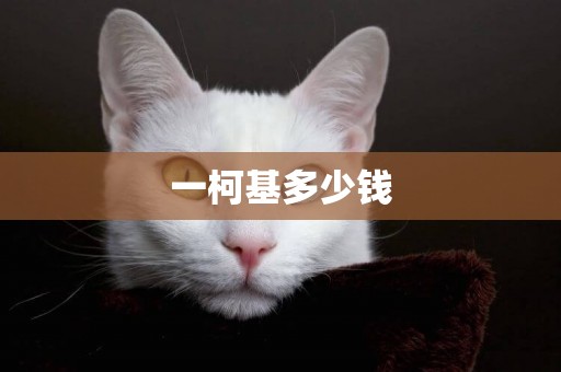 一柯基多少錢