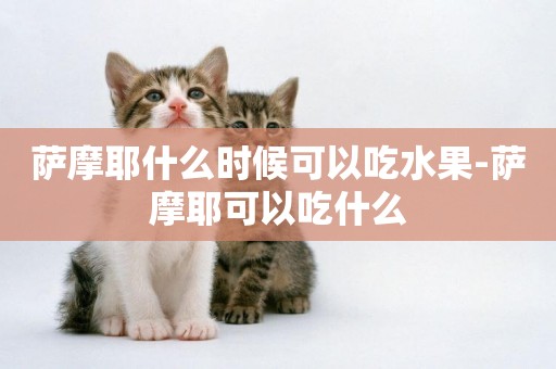 薩摩耶什么時候可以吃水果-薩摩耶可以吃什么