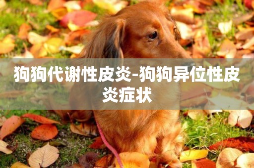 狗狗代謝性皮炎-狗狗異位性皮炎癥狀