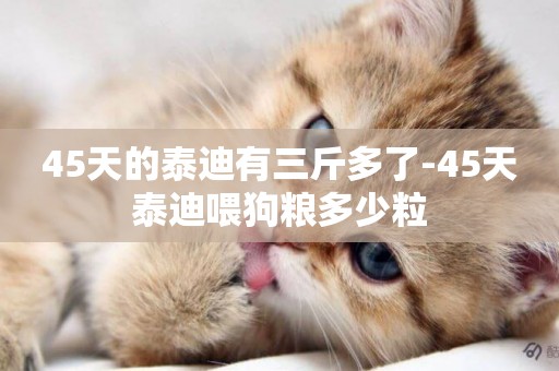 45天的泰迪有三斤多了-45天泰迪喂狗糧多少粒