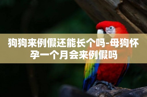 狗狗來例假還能長個嗎-母狗懷孕一個月會來例假嗎