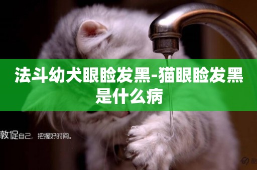 法斗幼犬眼瞼發黑-貓眼瞼發黑是什么病