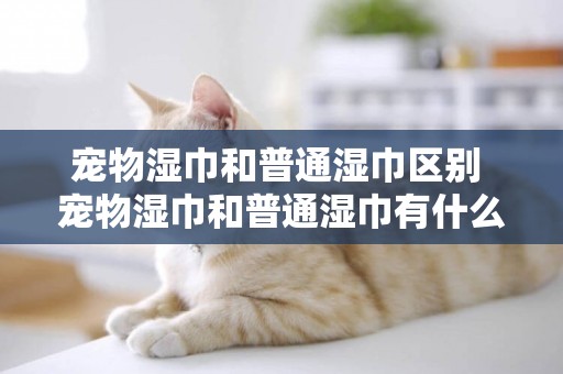 寵物濕巾和普通濕巾區別 寵物濕巾和普通濕巾有什么區別