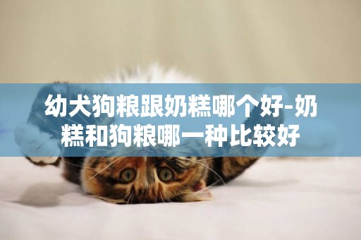 幼犬狗糧跟奶糕哪個好-奶糕和狗糧哪一種比較好