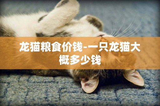 龍貓糧食價錢-一只龍貓大概多少錢